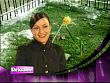 mp_reklametop10_050810_26.jpg