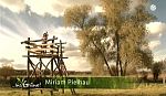 mp_insgruene_101031_036.jpg