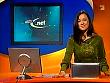taff021114_15.jpg