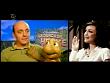mp_cinematv060705_41.jpg