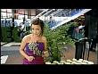 mp_cinematv060705_50.jpg