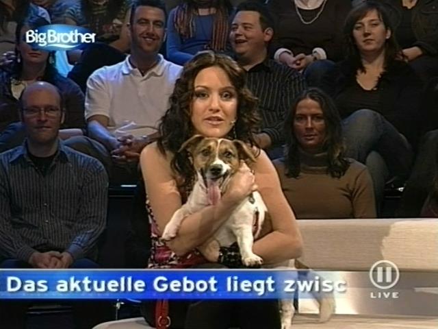 mp_bigbrother_080303_168.jpg