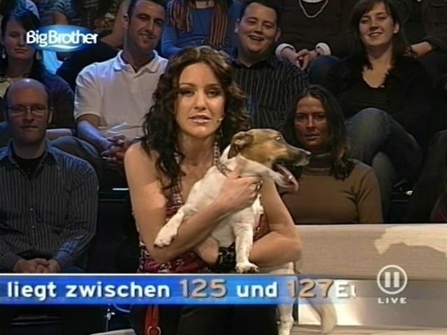 mp_bigbrother_080303_169.jpg