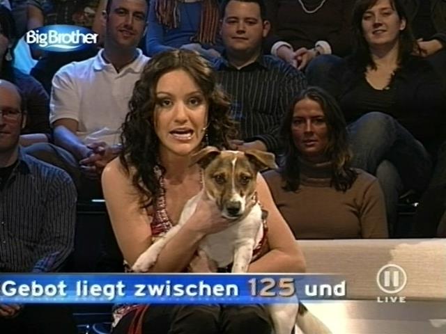 mp_bigbrother_080303_171.jpg
