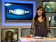mp_bigbrother_080310_135.jpg