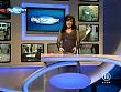 mp_bigbrother_080310_164.jpg