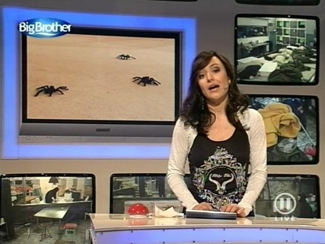 mp_bigbrother_080317_109.jpg