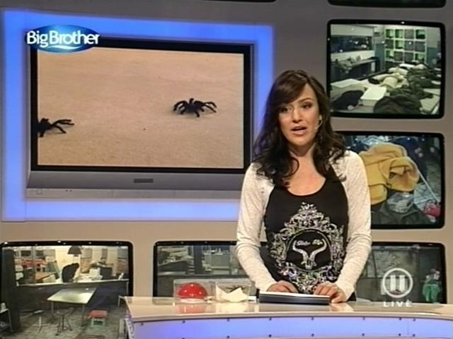 mp_bigbrother_080317_111.jpg