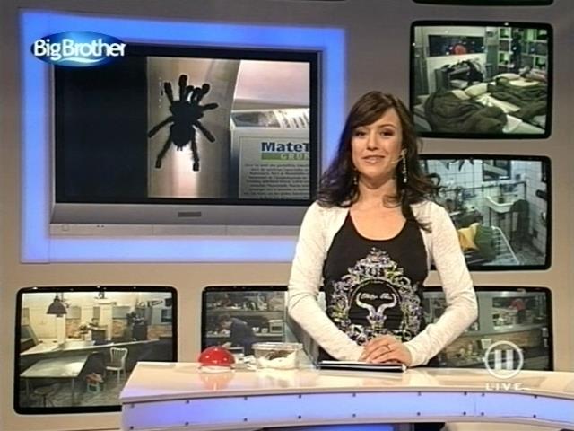 mp_bigbrother_080317_132.jpg